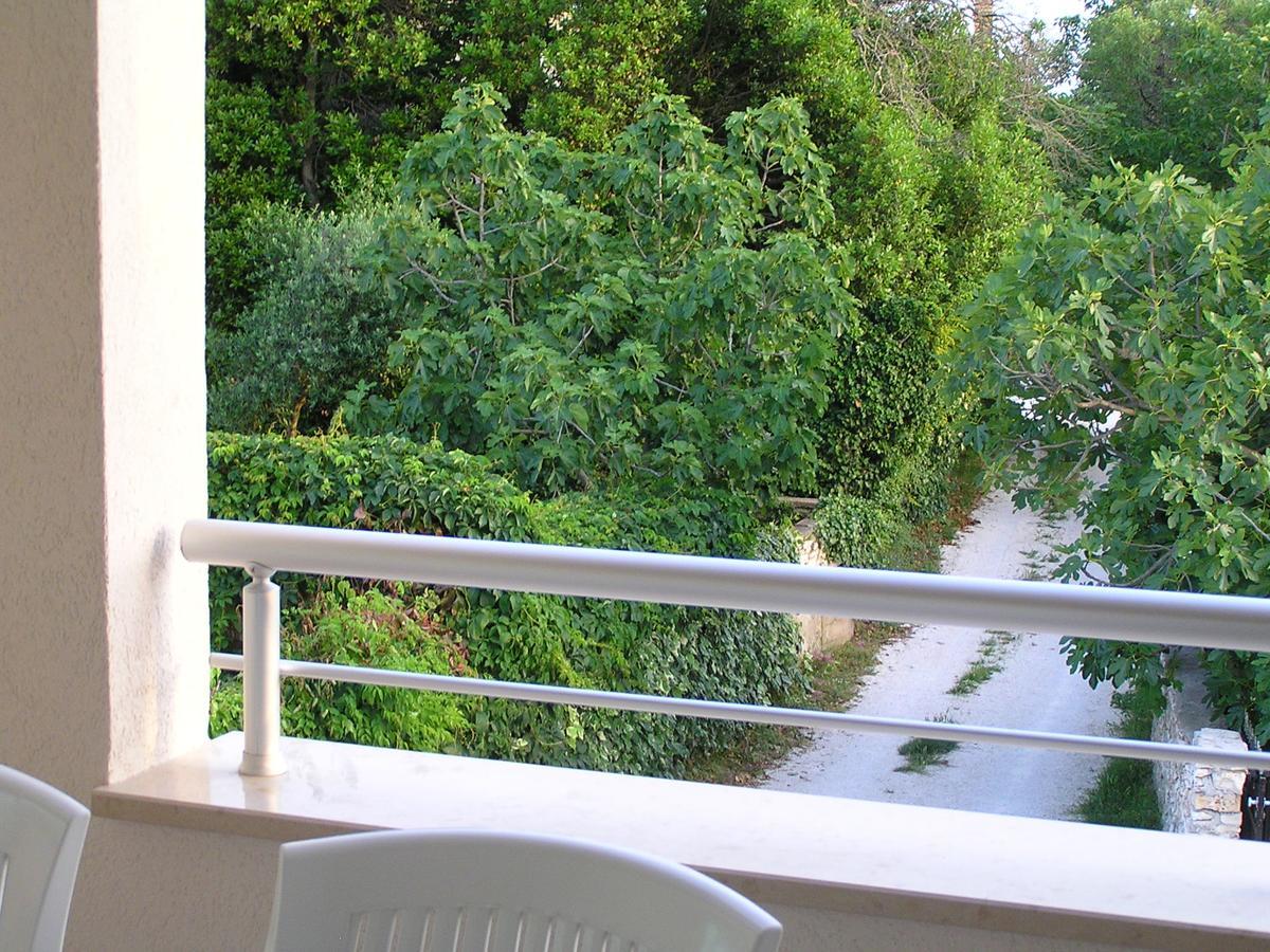 Oaza Regi Apartment *