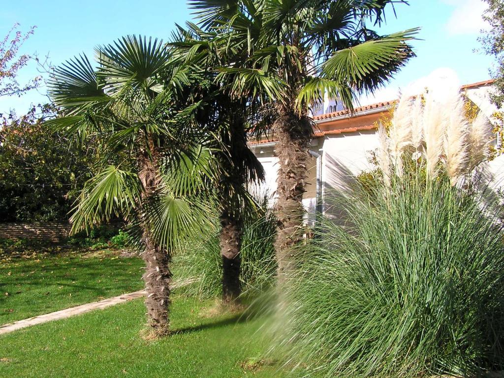 Apartment Oaza Regi Medulin