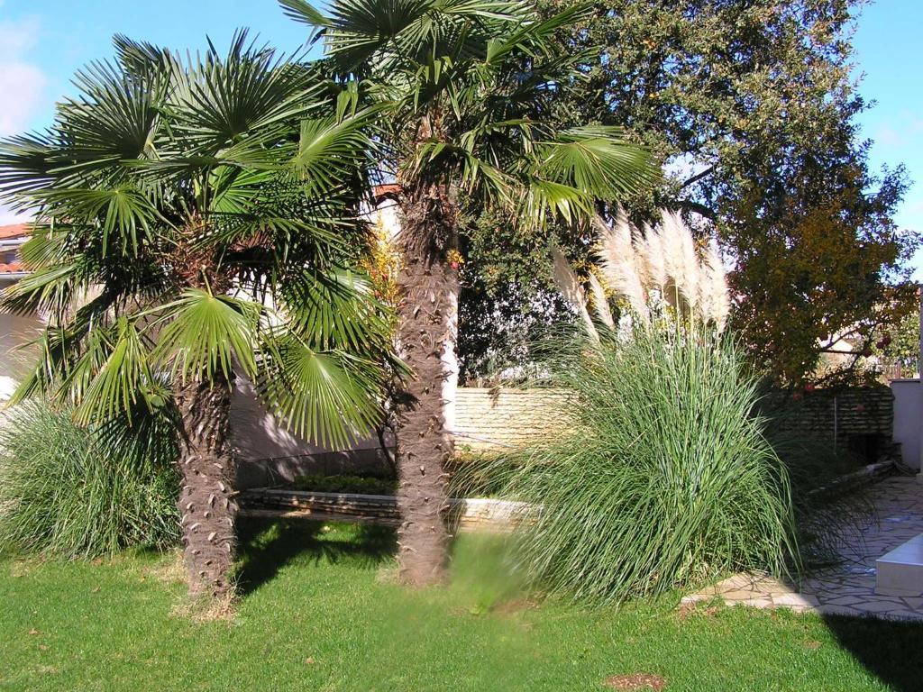 Apartment Oaza Regi Medulin